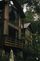 AMAYA RETREAT
