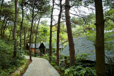 AMAYA RETREAT